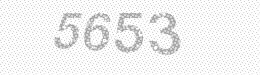 Visual security code — type the characters shown in the image
